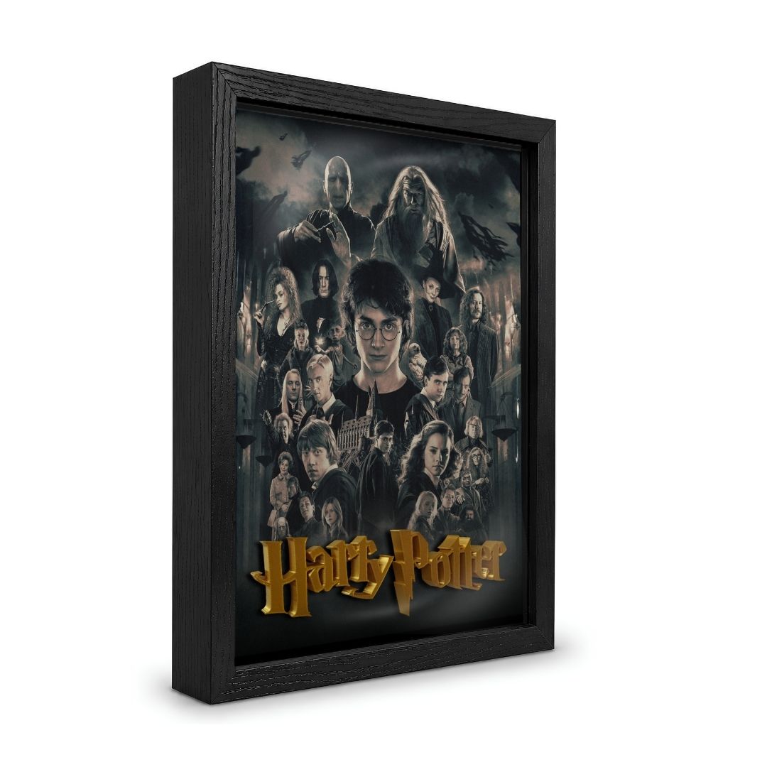 HARRY POTTER