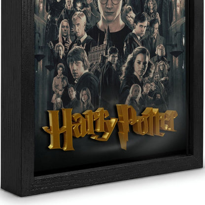 HARRY POTTER